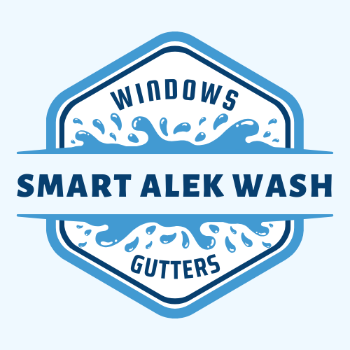 smartalekwash